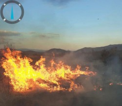 7 incendii de vegetație uscată în doar trei zile în județul Arad. 82 de misiuni ale pompierilor militari arădeni în acest sfârșit de săptămână

