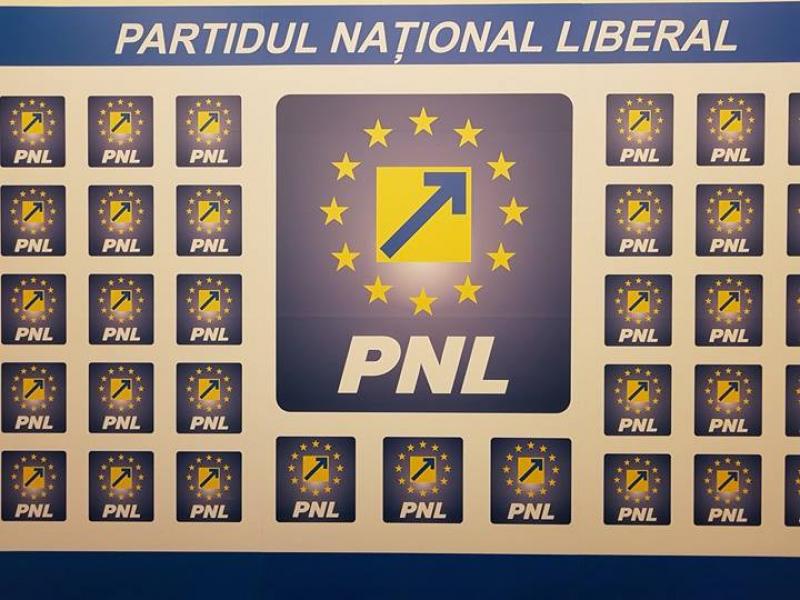 Nicolae Ciucă susținut de liberalii arădeni la conducerea PNL