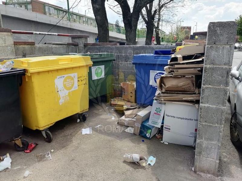 Poliția Locală a monitorizat timp de o lună platformele de depozitare a gunoiului din Arad