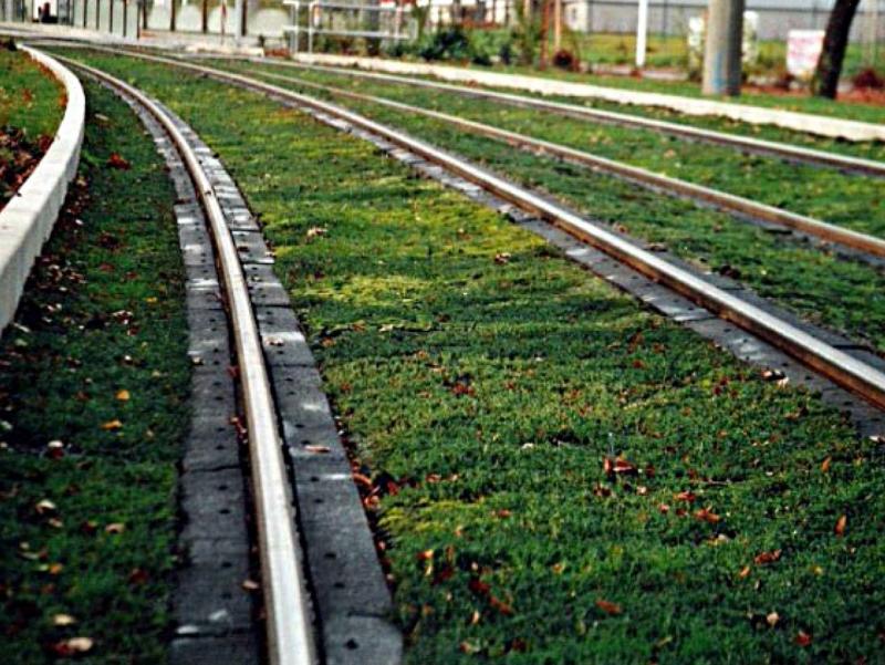 Linii de tramvai verzi în Arad își propune Primăria Arad în următoarea perioadă