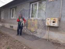 Captură ”uriașă” de câini fără adăpost. 11 patrupede culese de pe drumuri în 2 zile din Micălaca și Sânicolaul Mic


