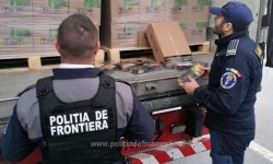 Captură uriașă de tutun la P.T.F. Nădlac . Un TIR încărcat cu peste 22 de tone de tutun pentru narghilea, în valoare de 2,9 milioane de euro, oprit de polițiștii de frontieră

