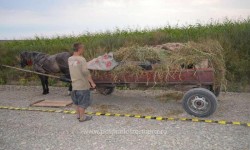 A furat o căruță rustică. Bărbatul din Chișineu-Criș s-a ales cu dosar penal