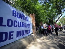 Bursa generală a locurilor de muncă organizată de Agenţia Judeţeană pentru Ocuparea Forţei de Muncă Arad 

