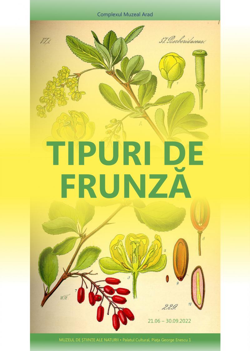 ”Tipuri de frunză” la Muzeul de Științe ale Naturii Arad