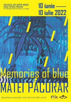 ”Memories of Blue” la Muzeul Arad