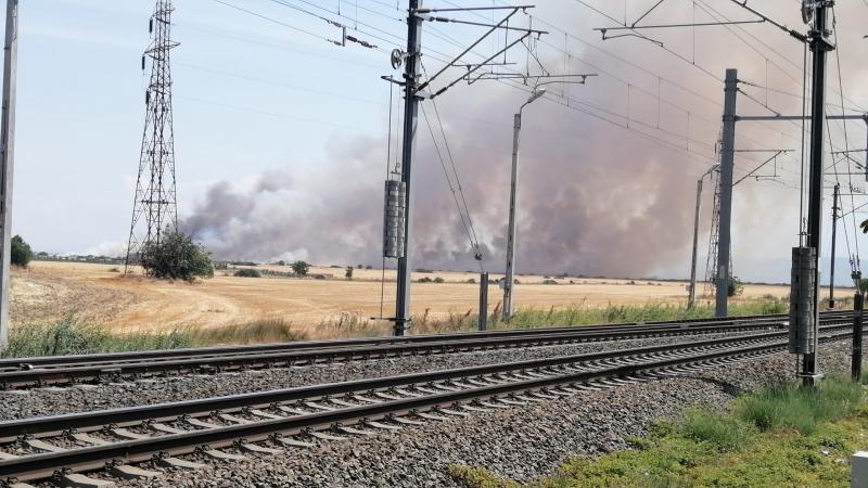 Încă un lan de grâu arde ....de data aceasta este situat între localitățile Horia și Vladimirescu