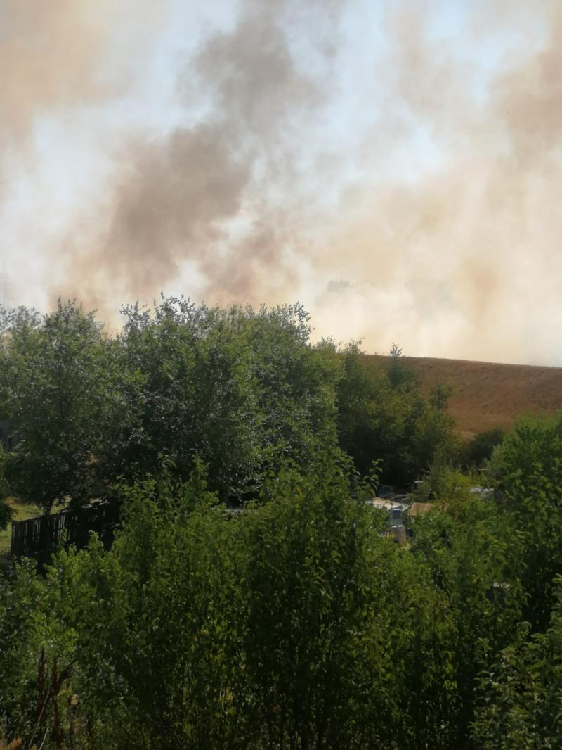 Două incendii de vegetație uscată în zona Aradului