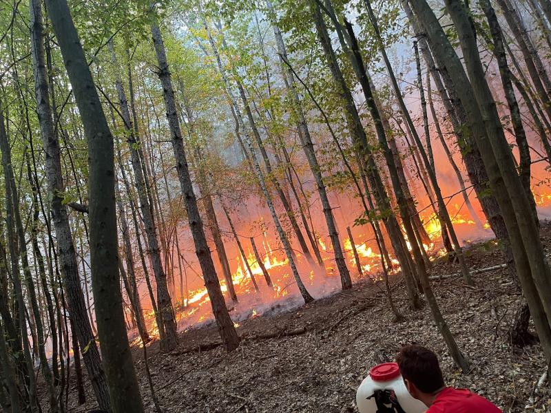 50 de hectare de pășune împădurită au ars în zona Tauţ-Minişu de Sus din județul Arad