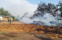 Pompierii arădeni intervin marți după-amiaza la 4 incendii de vegetație, unul este la Curtici unde arde un lan de grâu