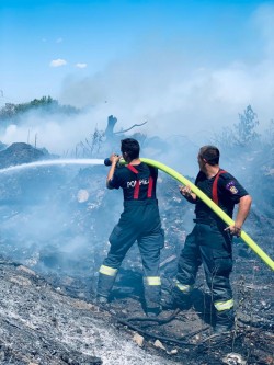 587 de misiuni ale pompierilor militari arădeni în prima jumătate a lunii iulie, dintre care 79 la incendii

