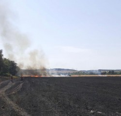  În urma unui incendiu, 5 hectare de grâu s-au făcut scrum la Bata

