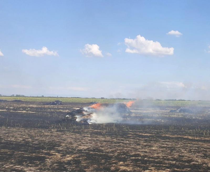 Incendiu la vegetație uscată și baloți de paie la Socodor