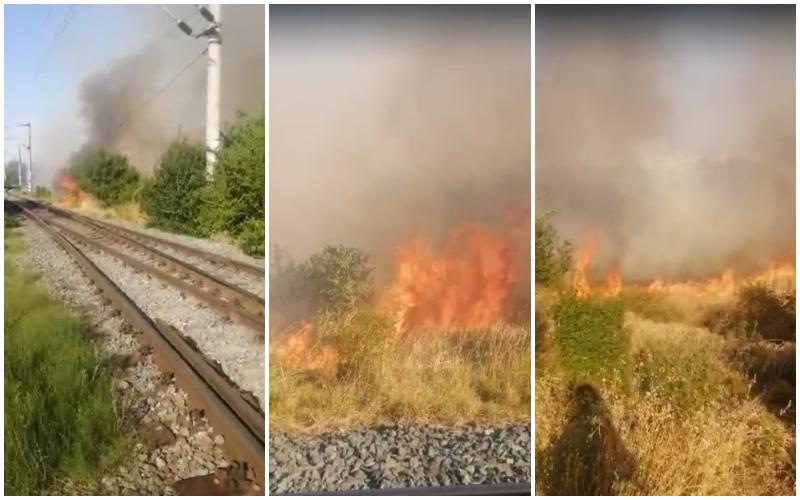 Incendiu lângă linia de cale ferată din zona Micălaca!
