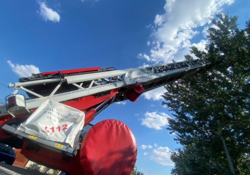 Pompierii au salvat un arădean care s-a cățărat la o înălțime de 15 metri într-un copac