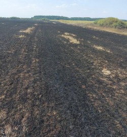 20 de hectare de teren au ars la Adea în urma unui incendiu de miriște și vegetație uscată