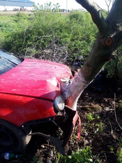 Un tânăr începător în ale șofatului din Vinga s-a pupat cu un copac