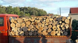 Odată cu apropierea sezonului rece se înmulțesc transporturile ilegale de material  lemnos