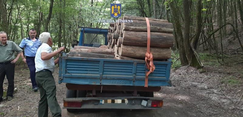 Altă captură impresionantă de lemne făcută de polițiștii arădeni la Agrișu Mare