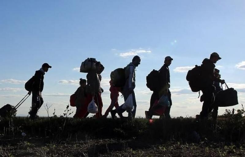 O zi dragă cancelarului austriac Karl Nehammer: 18 decembrie, Ziua internaţională a Migranţilor