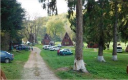 „Casa Verde”, integrată în patrimoniul Consiliului Județean Arad