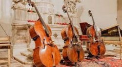 Dacă nu știați și violonceliștii au ziua lor. În 29 decembrie este Ziua Internațională a Violoncelului