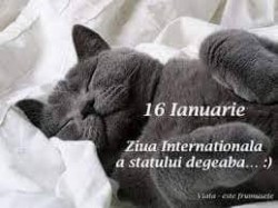 Dacă e luni și 16 ianuarie e permis statul degeaba. 16 ianuarie - Ziua Internationala a Statului Degeaba

