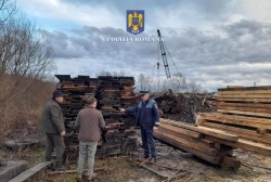 Afaceri dubioase cu lemne la Bârzava. Peste 250 mc de material lemnos confiscat