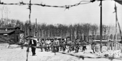 Ziua Internațională de Comemorare a Victimelor Holocaustului – Mii de Martori ai lui Iehova se numără printre cei care au fost duși sau exterminați în lagărele de concentrare