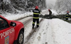 DN 79 A, între localitățile Sebiș și Buteni, blocat de arborii căzuți din cauza condițiilor meteo