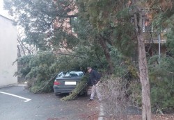 Codul GALBEN de viscol a pus la grea încercare sâmbătă autoritățile locale și pompierii 