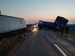 Accident cu victime, dintre care una în stare gravă, între 2 autotrenuri, pe DJ 682, între Periam si Satu Mare