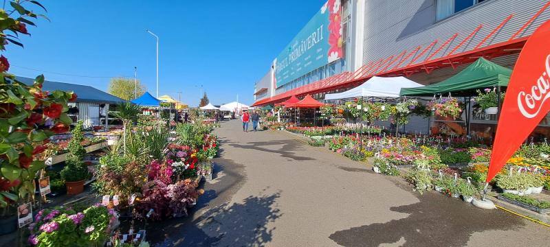S-au deschis târgul de flori şi cel de construcţii la Expo Arad 