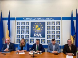 Gheorghe Falcă: „În următoarele luni încep lucrările la cel mai mare parc fotovoltaic din Europa”