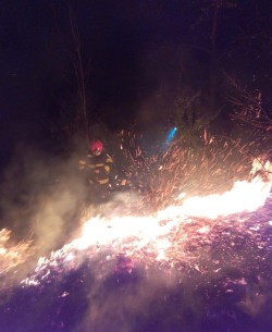 Intervenție dificilă a pompierilor din Sebiș în miez de noapte la un incendiu izbucnit la litiera unei păduri de lângă Groșeni