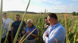                           
Mihai Fifor: Insistențele ministrului PSD al Agriculturii, Petre Daea, dau roade, România primește încă 30 de milioane de euro, din totalul de 100 de milioane compensații suplimentare decise de Comisia Europeană

