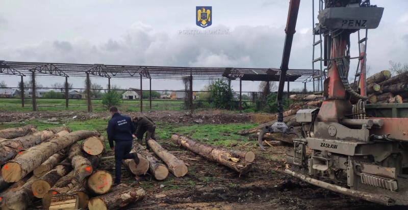 Aproape 100 metri cubi de lemn confiscat și amenzi de 15.000 de lei în urma unei acțiuni pe linie silvică în județul Arad