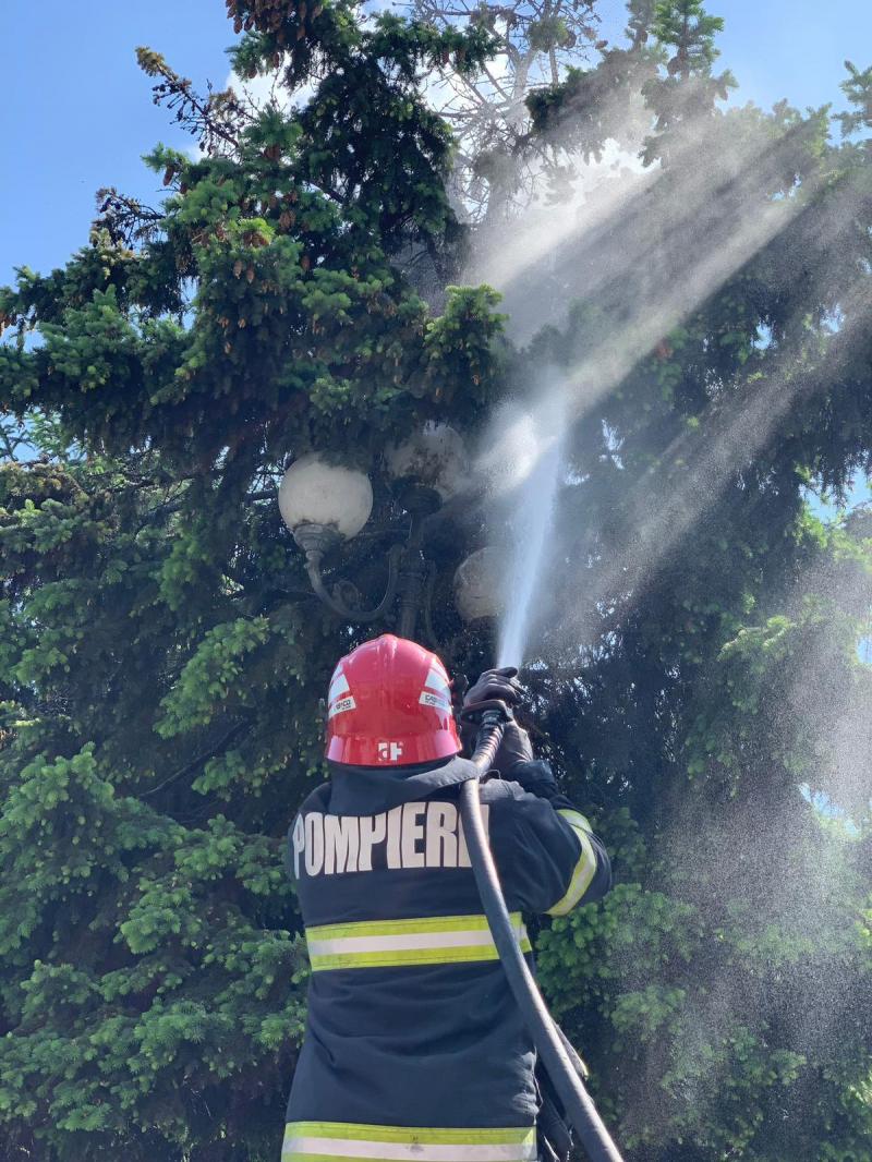 O țigară nestinsă era cât pe ce să producă un foc de tabără în Piața Avram Iancu din Arad