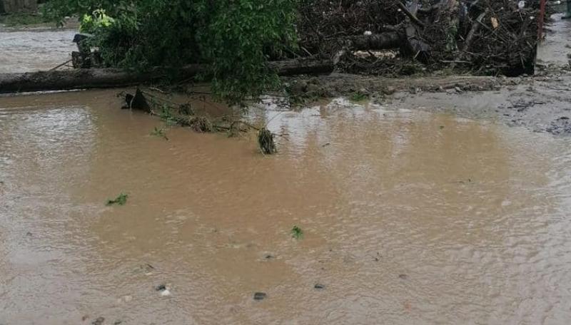 Direcția de Sănătate Publică Arad oferă informații pentru zonele afectate de inundații
