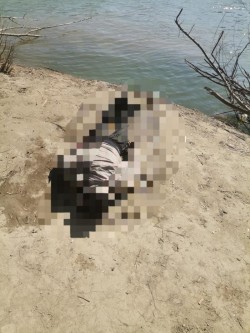 A fost descoperit un cadavru în Mureș în zona Pecica, dar nu este al fetiței ce e dată dispărută în urma răsturnării bărcii la Periam Port