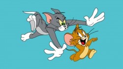 Tom și Jerry în varianta polițiști – șoferi pe drumurile Aradului

