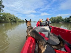 10 voluntari din Olanda s-au alăturat misiunii de căutare pe râul Mureș a fetiței dispărute în 30 aprilie ca urmare a răsturnării unei bărci în zona Periam Port

