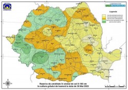 Se anunță recolte bogate de grâu și porumb în acest an. Rezerva de umiditate aproape de optim în Arad dar și în majoritatea regiunilor țării

