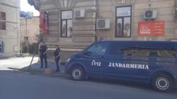 O fiară agresivă a terorizat centrul Aradului. Intervenție în forță a jandarmilor. Într-un final plin de suspans creatura fioroasă a fost capturată

