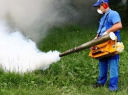 Primul tratament aviochimic pentru combaterea insectelor din acest an