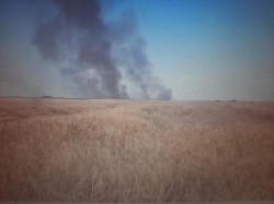 O țigară aprinsă a distrus 7 hectare de grâu între Nădlac și Peregu Mare
