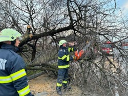 Noapte grea pentru pompierii arădeni în urma pagubelor provocate de vijelie

