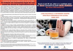 Europenii, campioni la băut. La nivel european, aproximativ 58 milioane de indivizi sunt mari consumatori de alcool

