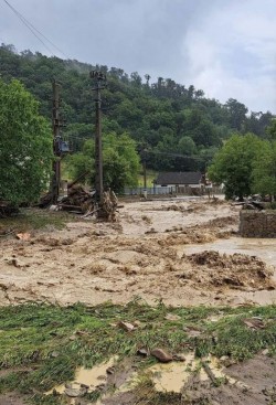 Informații și recomandări pentru zonele afectate de inundații oferite de Direcția de Sănătate Publică Arad