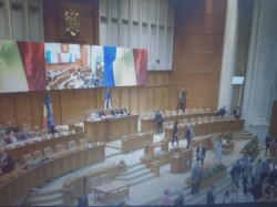 Parlamentul a eliminat pensiile speciale ale deputaților și senatorilor. Șoșoacă s-a dat din nou în stambă